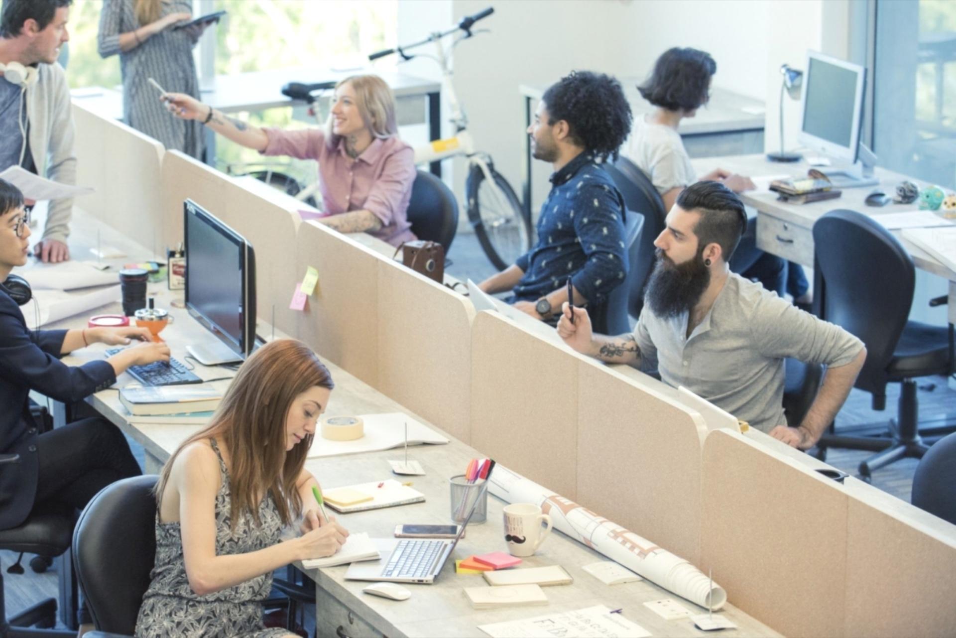 Praktische Geschäftsentwicklung und Finanzstrategie